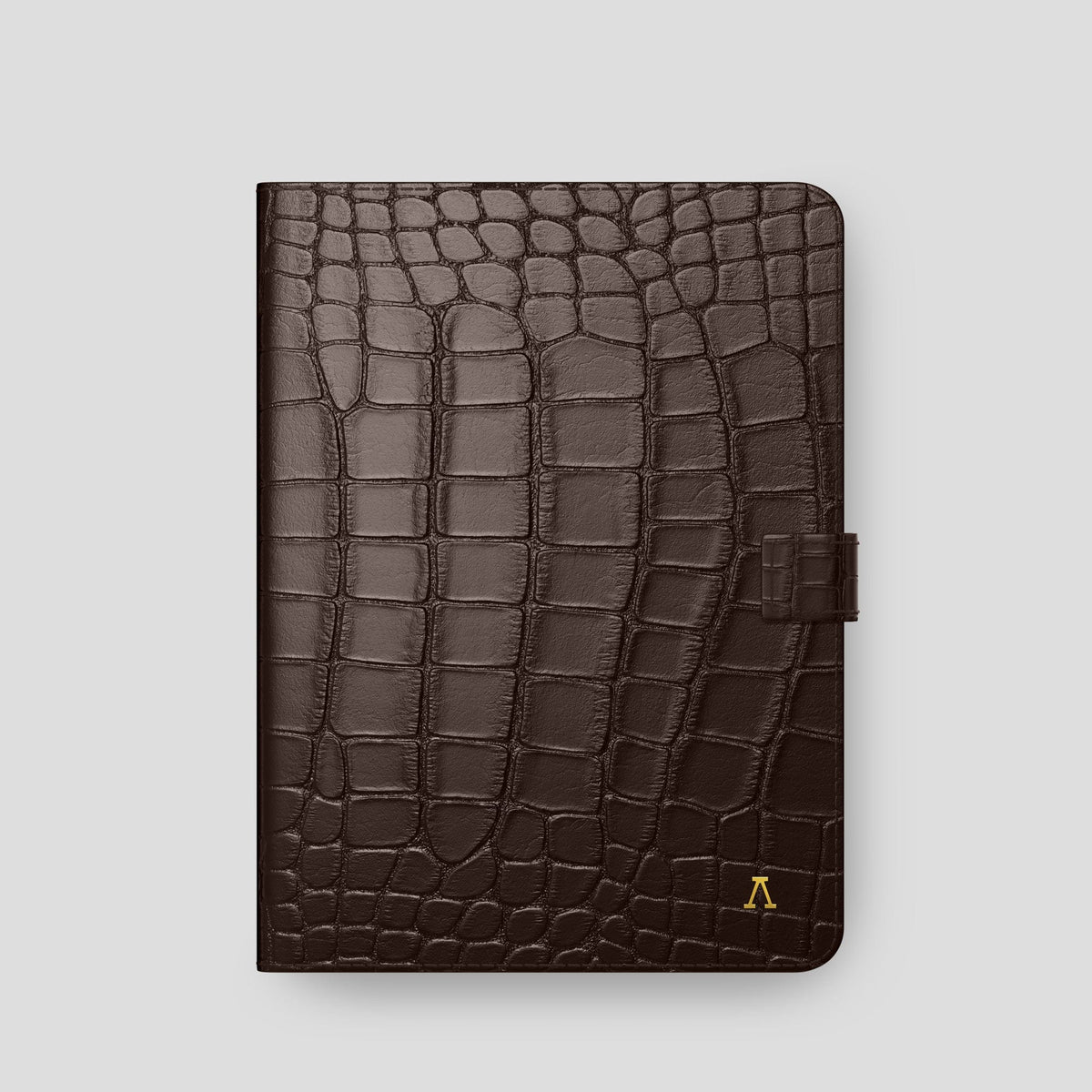 Dark Brown iPad Pro 11-inch Folio Case Alligator with Gold Metal -4 | Dark-Brown-Gold