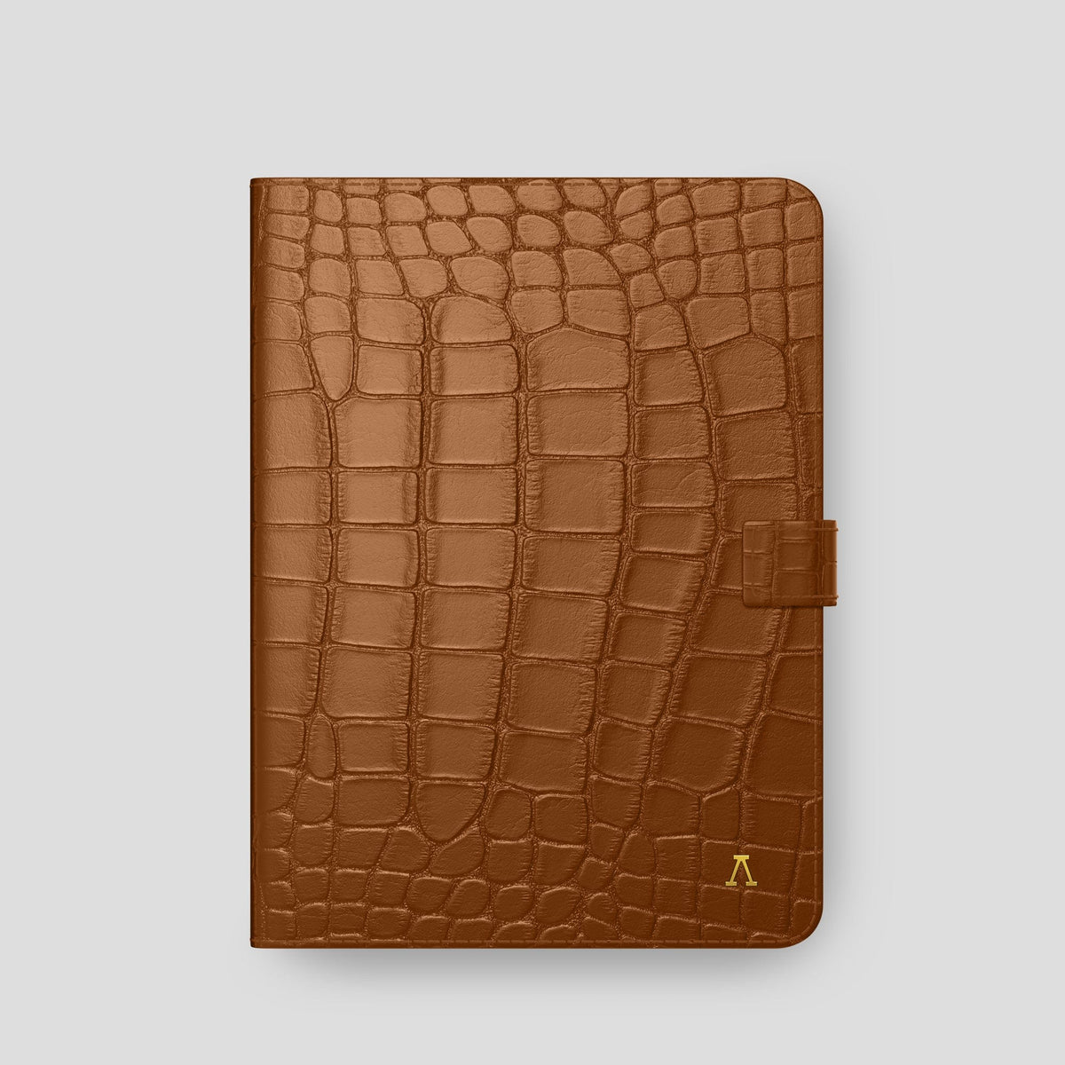 Honey iPad Pro 11-inch Folio Case Alligator with Gold Metal -4 | Honey-Gold