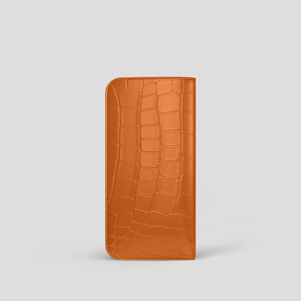 Orange Glasses Case Alligator -2 | Orange
