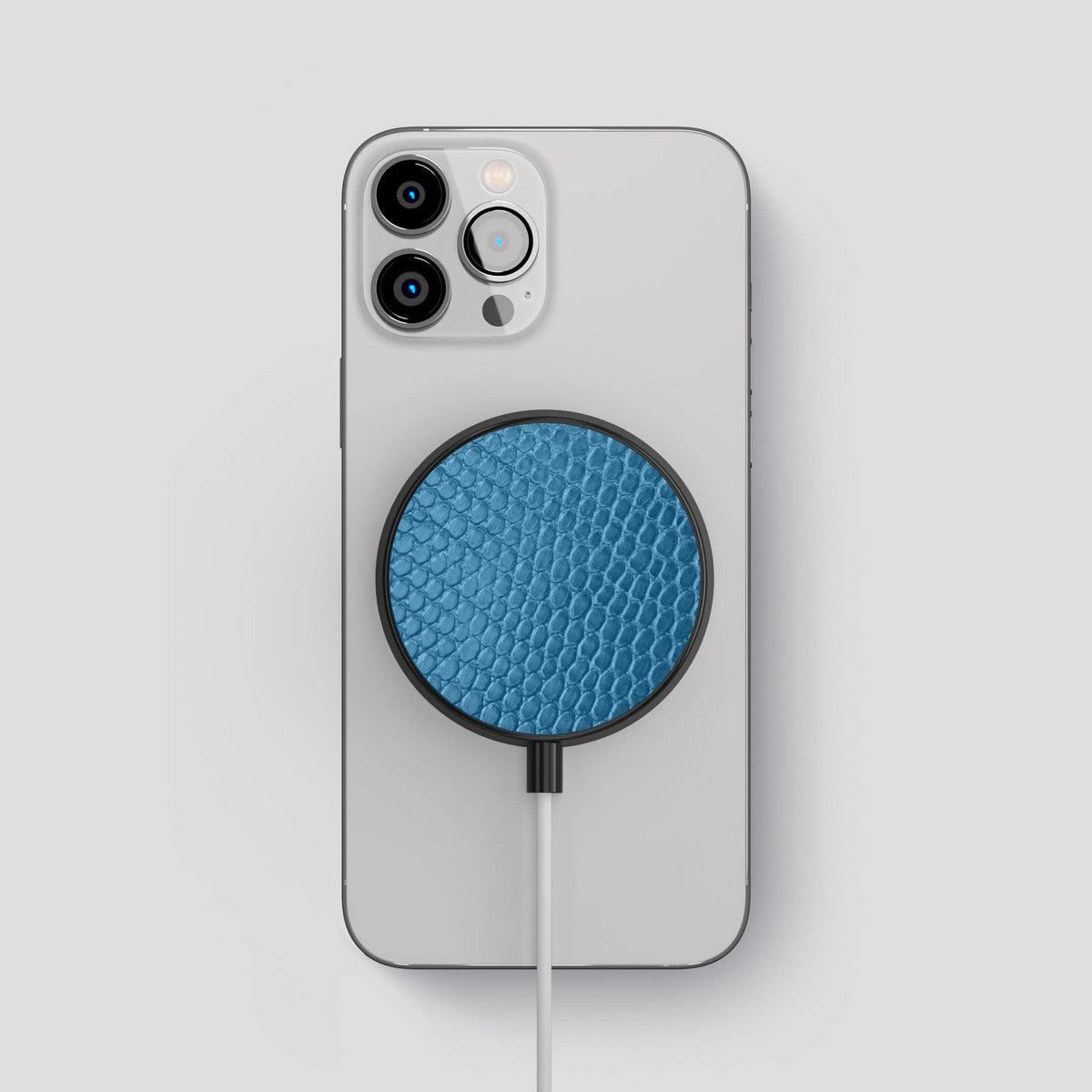 Blue MagSafe Charger Case Lizard -2 | Blue