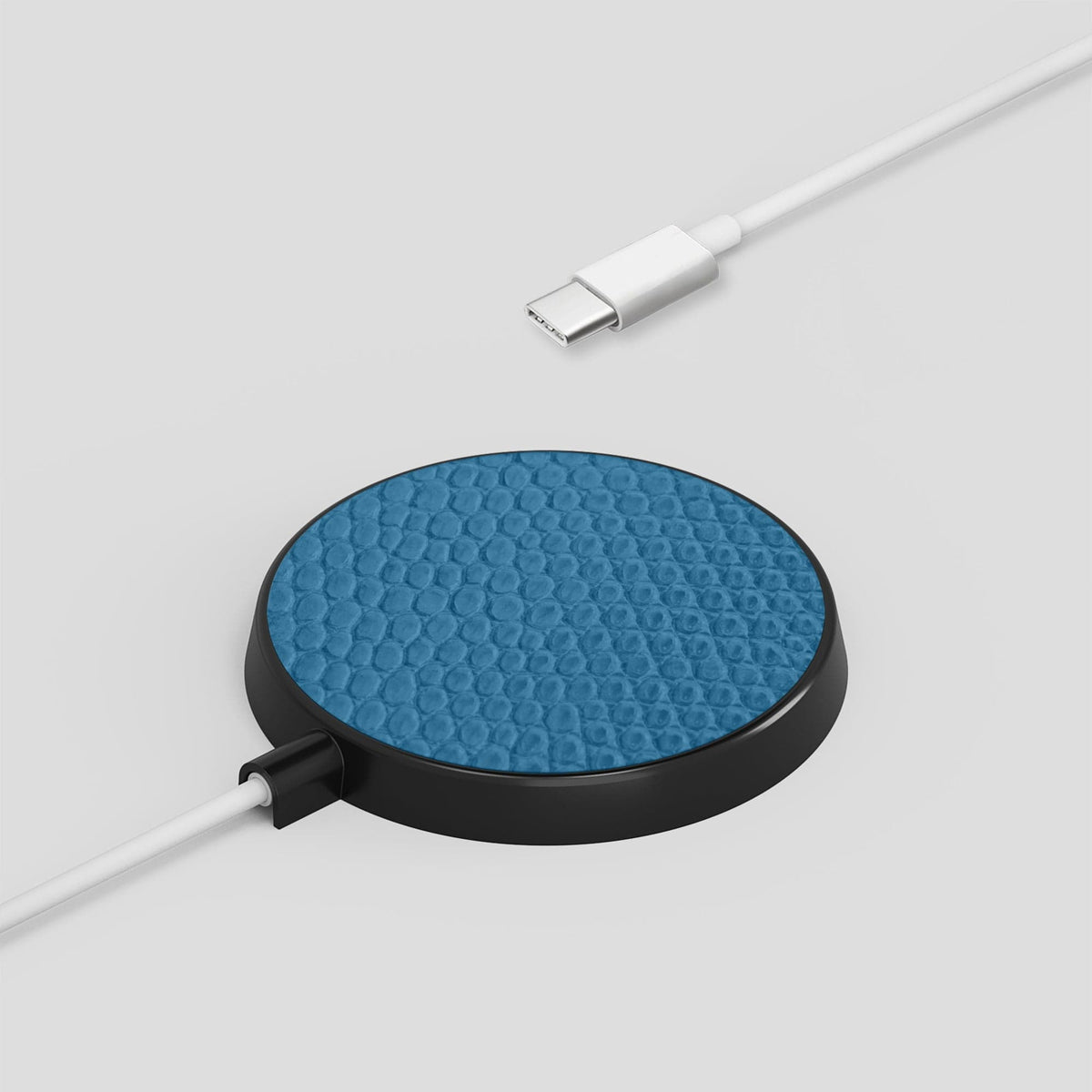 Blue MagSafe Charger Case Lizard -4 | Blue