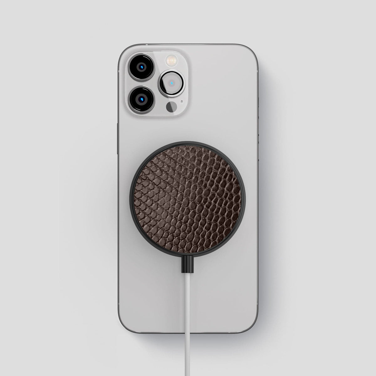Brown MagSafe Charger Case Lizard -2 | Brown