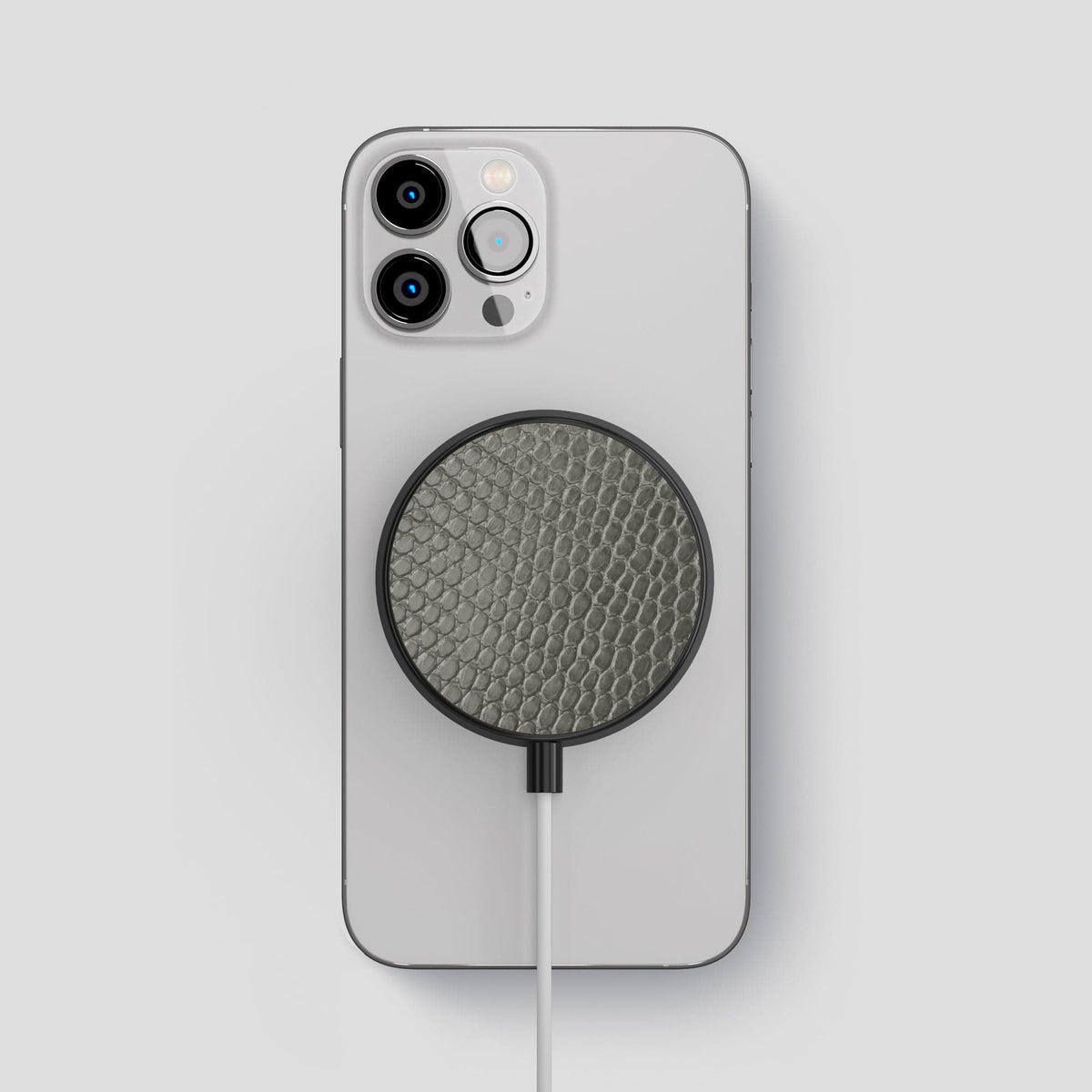 Grey MagSafe Charger Case Lizard -2 | Grey
