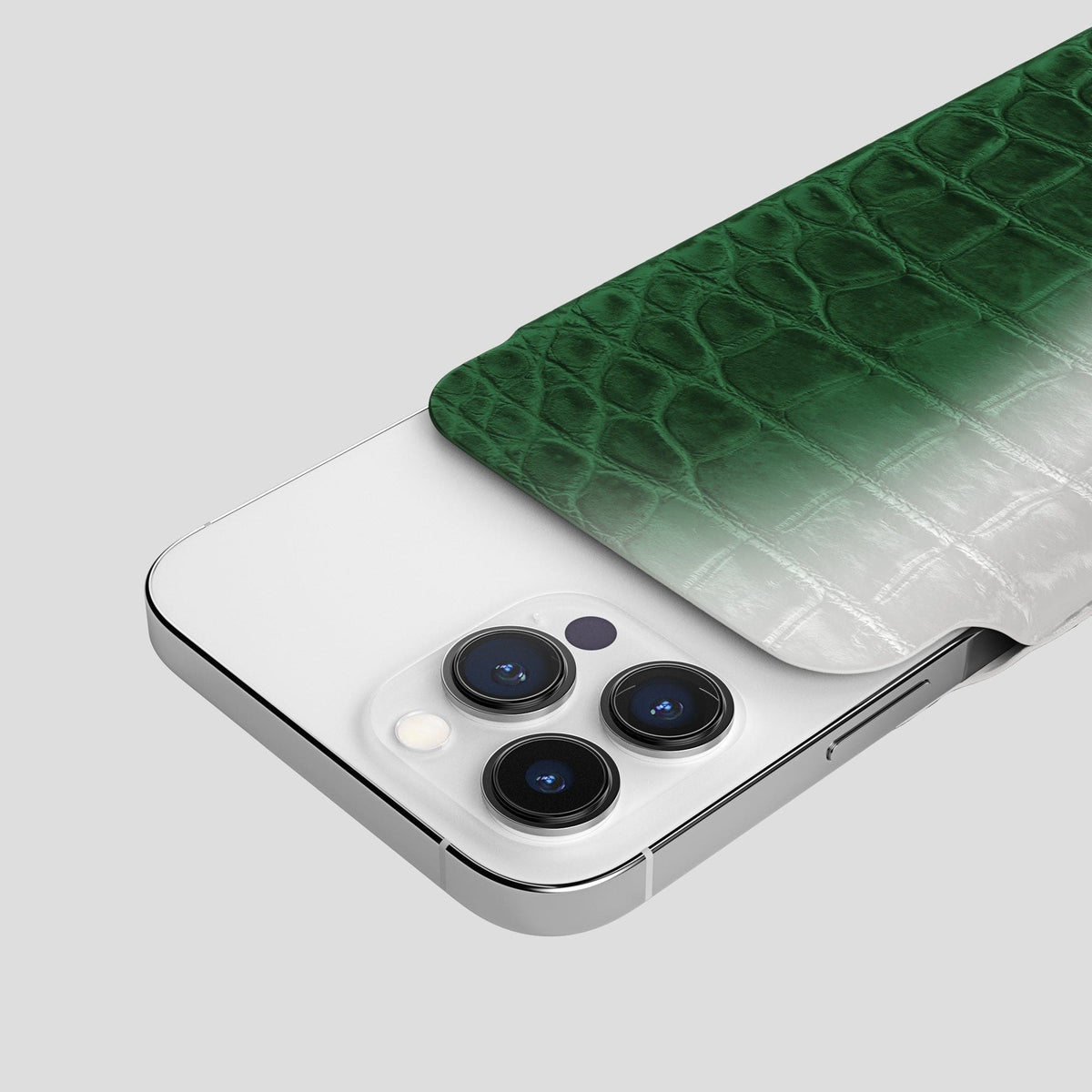 Green iPhone 14 Pro Himalaya Pouch Case Himalayan Crocodile -5 | Green