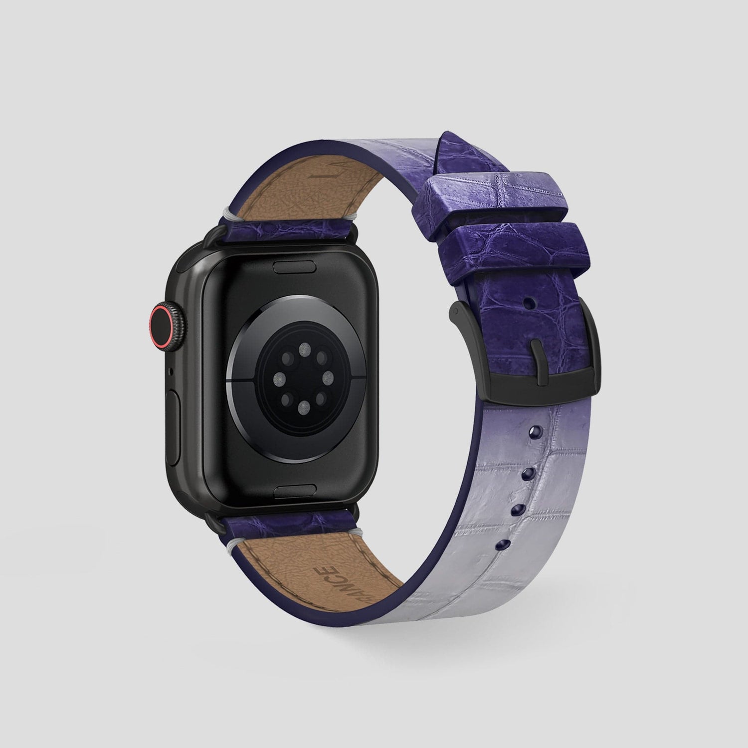 Dj Raja Rajpur In Leather Metal Apple Watch Strap 44mm Himalaya